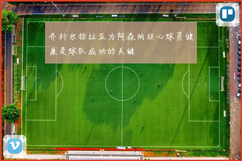 乔科尔称拉亚为阿森纳核心球员健康是球队成功的关键