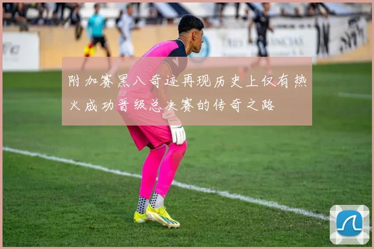 附加赛黑八奇迹再现历史上仅有热火成功晋级总决赛的传奇之路
