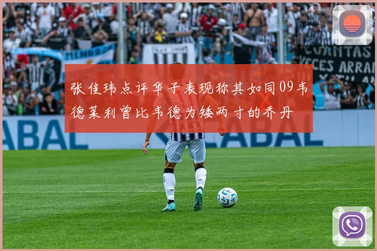 张佳玮点评华子表现称其如同09韦德莱利曾比韦德为矮两寸的乔丹