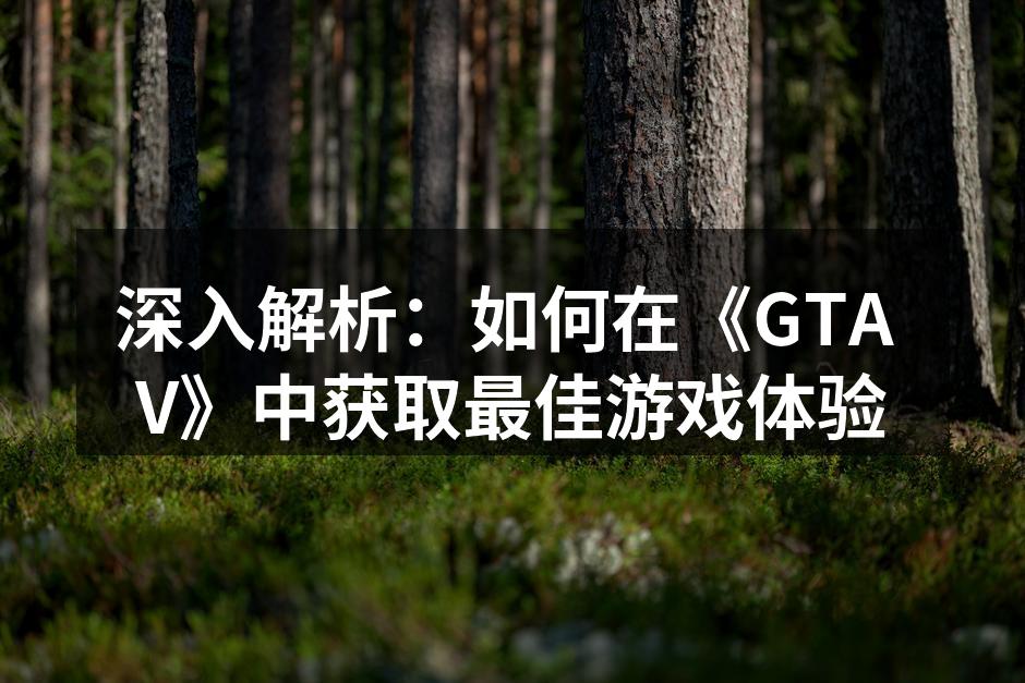 深入解析：如何在《GTA V》中获取最佳