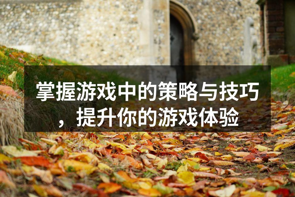 掌握游戏中的策略与技巧，提升你的游戏体验